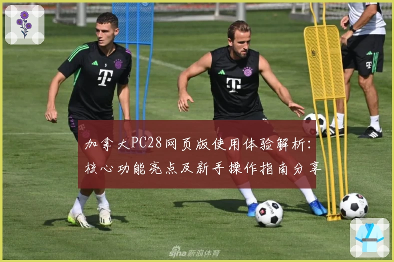 加拿大PC28网页版使用体验解析:核心功能亮点及新手操作指南分享
