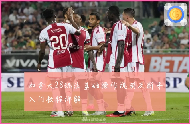 加拿大28玩法基础操作说明及新手入门教程详解