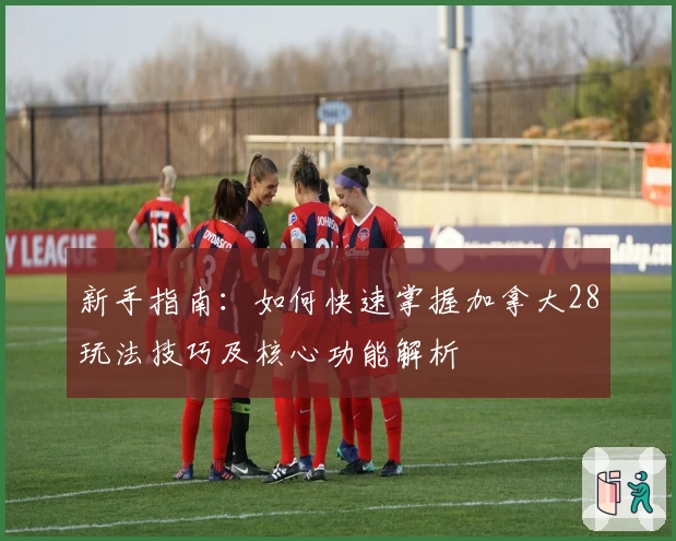 新手指南：如何快速掌握加拿大28玩法技巧及核心功能解析