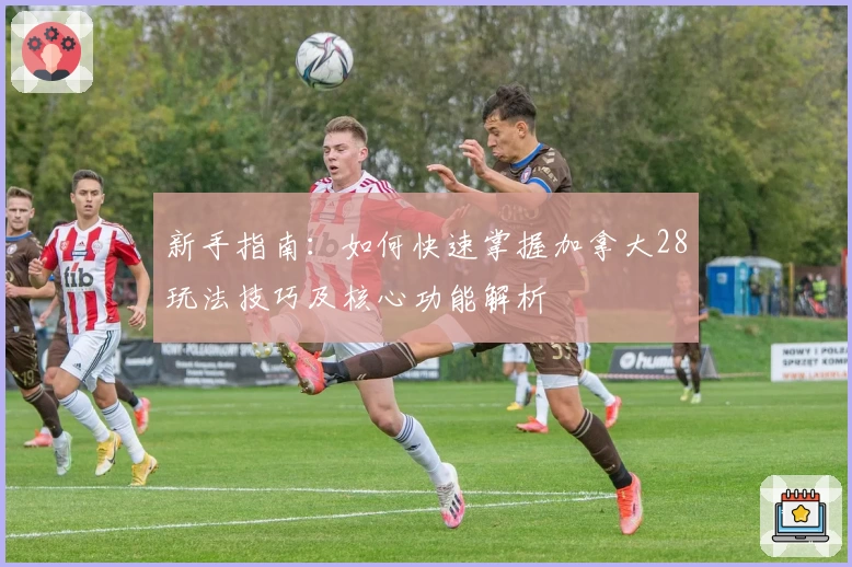 新手指南：如何快速掌握加拿大28玩法技巧及核心功能解析