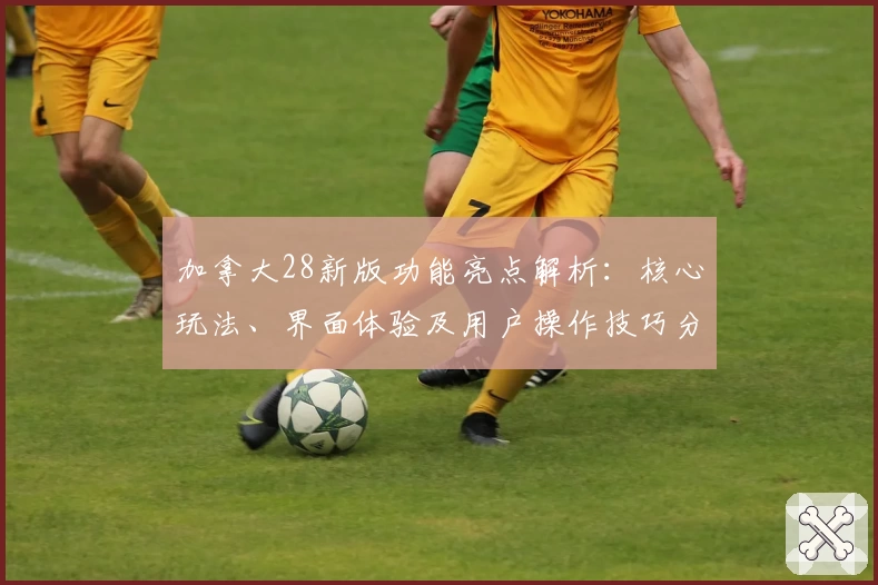 加拿大28新版功能亮点解析：核心玩法、界面体验及用户操作技巧分享