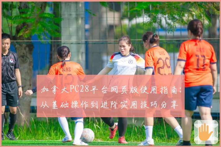 加拿大PC28平台网页版使用指南：从基础操作到进阶实用技巧分享
