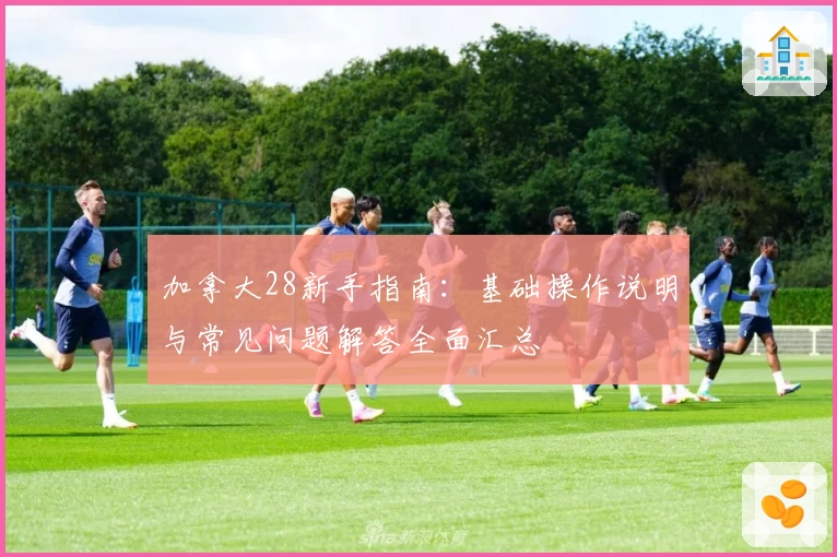 加拿大28新手指南：基础操作说明与常见问题解答全面汇总